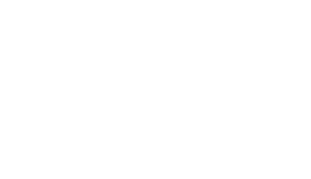 Logo Communauté de Communes du Pays de Nay - Blanc