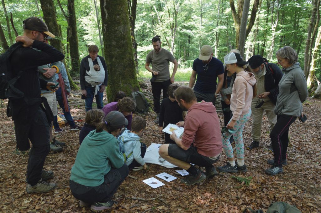 09 Sortie nature Coarraze 4