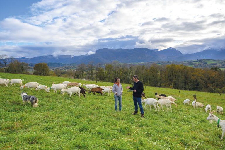 17 chevrerie henry 4 maelys bernard 5106