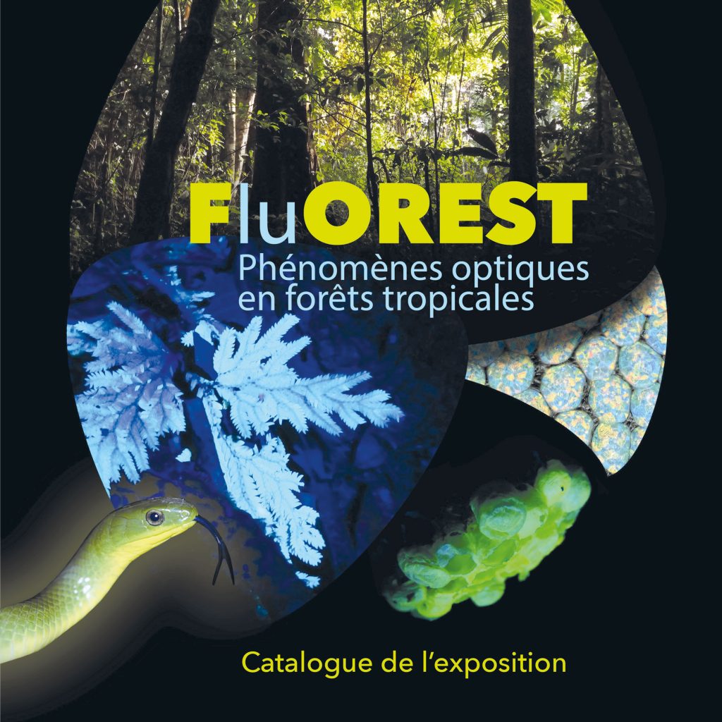 19 Culture Acteur asso Catalogue Fluorest derniere 1